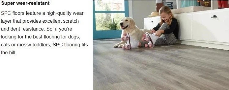 1220MM SPC FLOORING 1220MM SPC FLOORING